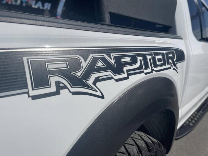 FORD LOBO RAPTOR SUPER CAB 2020 Imagen de la galería