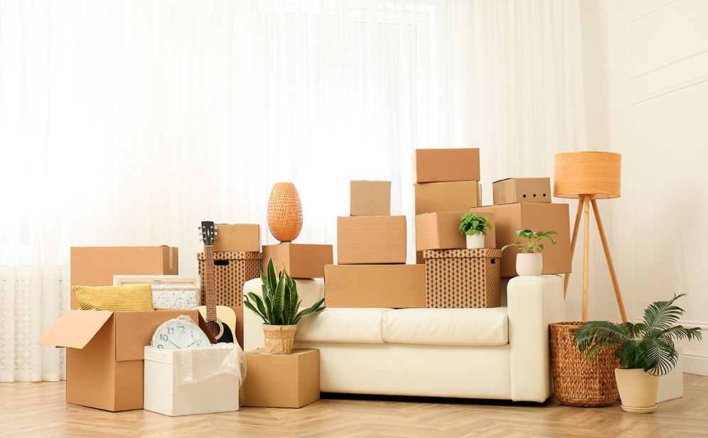Descubrí qué tipo de personalidad tienes según cada cuánto ordenas tu casa.