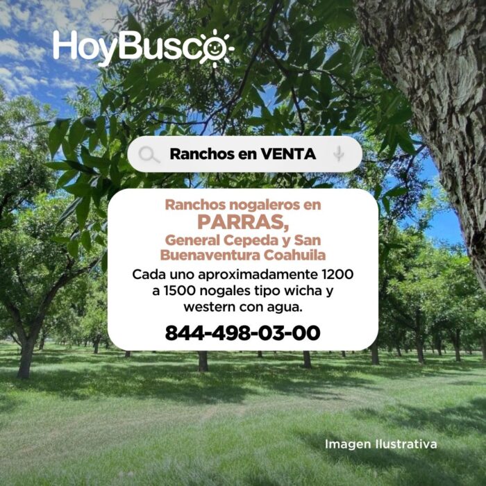 Ranchos nogaleros en venta Imagen de la galería