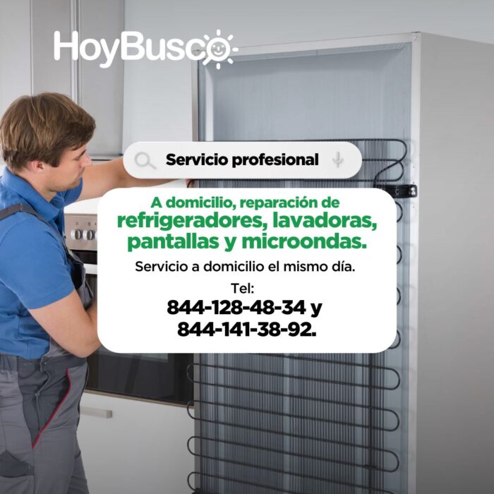 Servicio profesional a domicilio Imagen de la galería