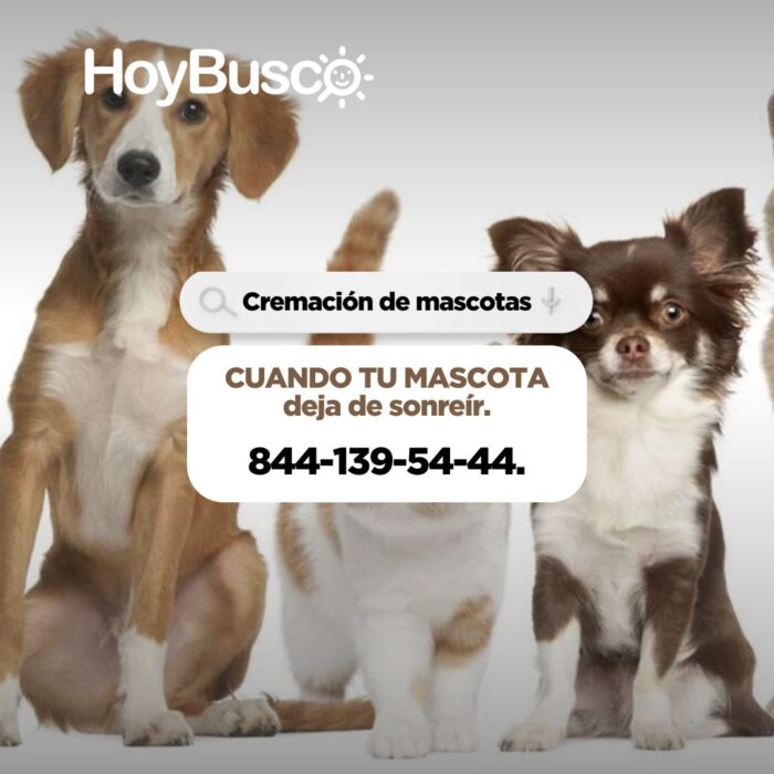 Cremación de mascotas Imagen de la galería