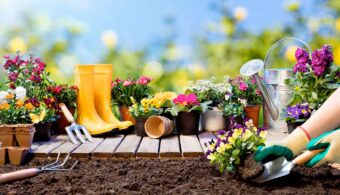 Cinco consejos para jardinería más verde