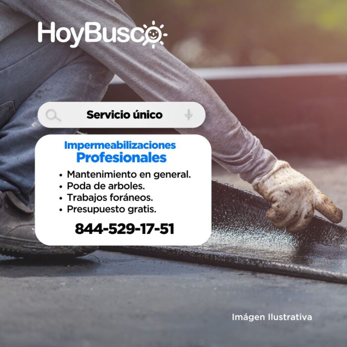 impermeabilizaciones profesionales Imagen de la galería