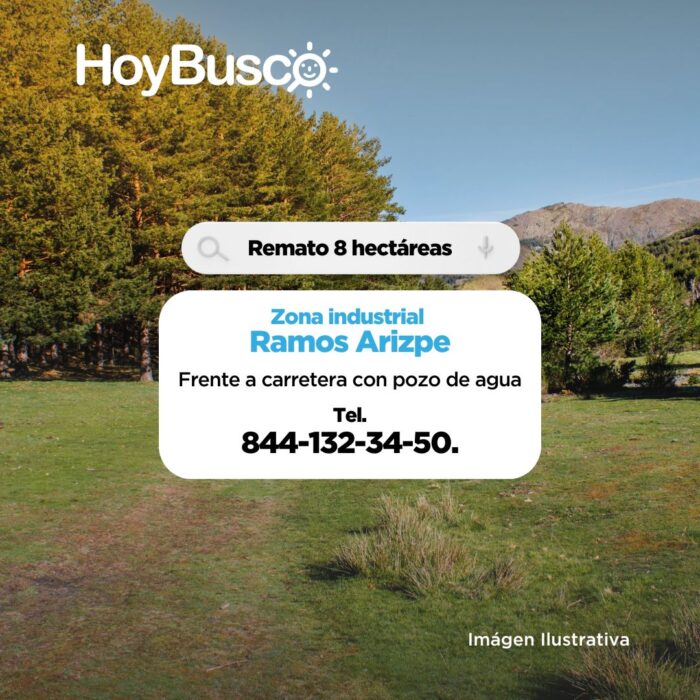 Remato 8 hectareas Imagen de la galería