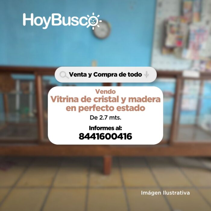 Vendo vitrina de cristal y madera en perfecto estado Imagen de la galería