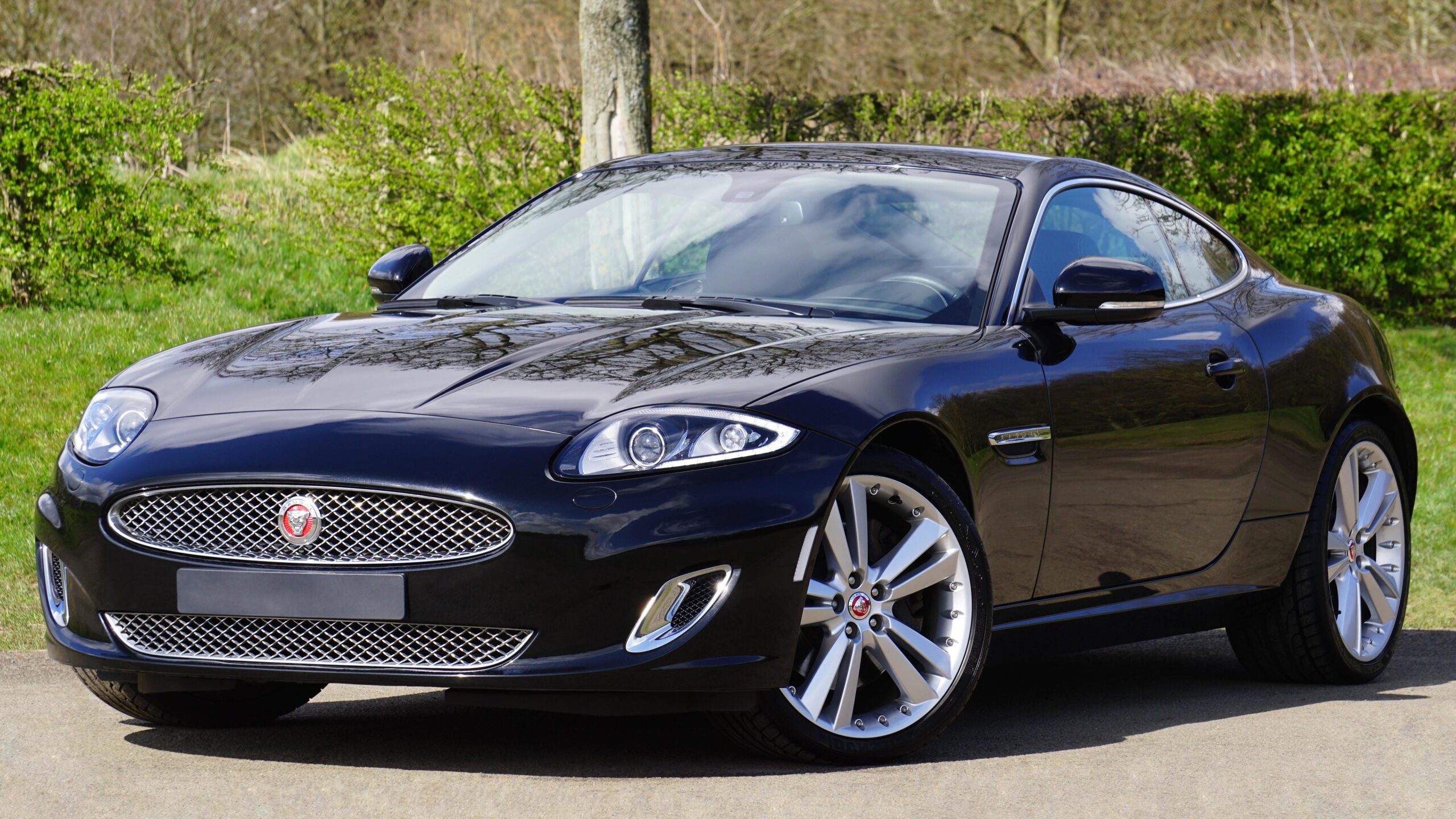 La importancia de revisar un auto antes de comprarlo