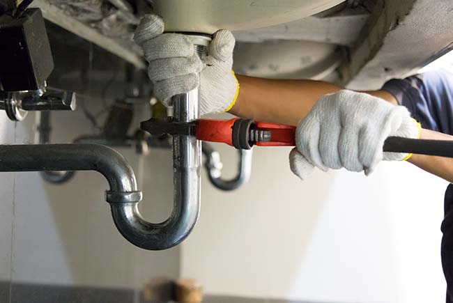 💼 Emprender en servicios: una alternativa real para generar ingresos